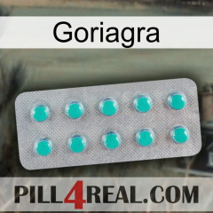 Goriagra 28